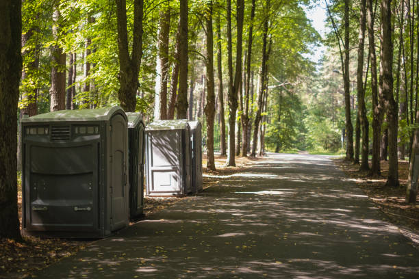 Best Affordable portable toilet rental  in Fanning Springs, FL